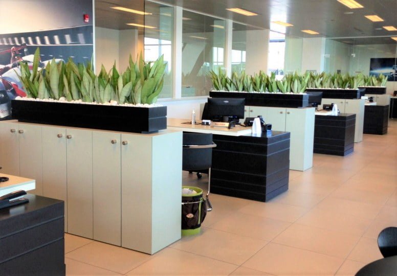 Nature Improves Perth Office Environments